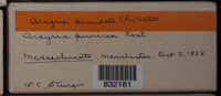 Image Associated With the Occurence